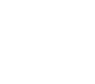 SDVOSB
