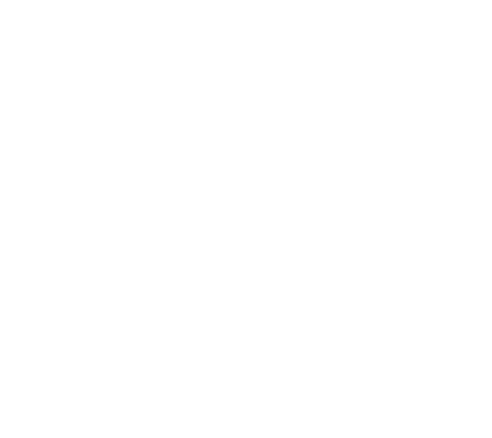 SDVOSB
